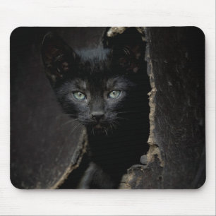 Little Black Kitty Mouse Pad