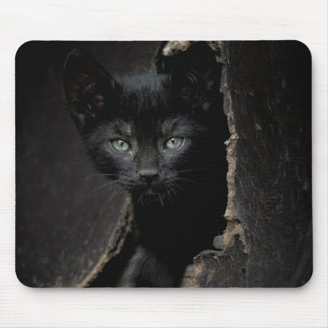 Little Black Kitty Mouse Pad (Front)