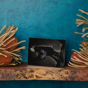 Little Black Kitty Plaque