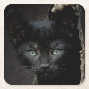 Little Black Kitty Square Paper Coaster