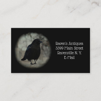 Little Blackbird Business Card