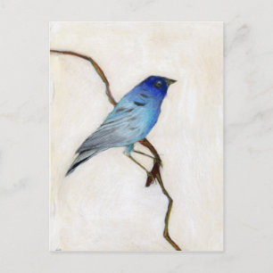 Little Blue 2012 Postcard