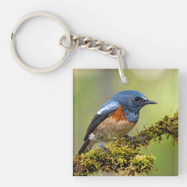 Little blue bird key ring (Front)