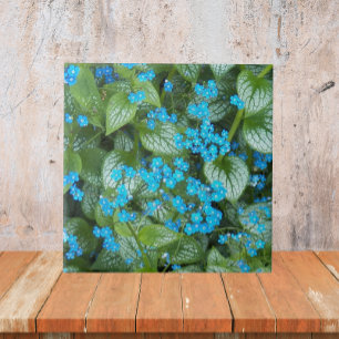 Little Blue Brunnera Flowers Floral Ceramic Tile