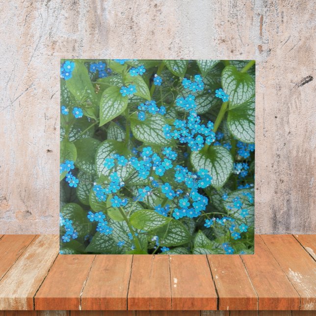 Little Blue Brunnera Flowers Floral Ceramic Tile (In Situ)