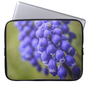 Little Blue Buds Laptop Sleeve