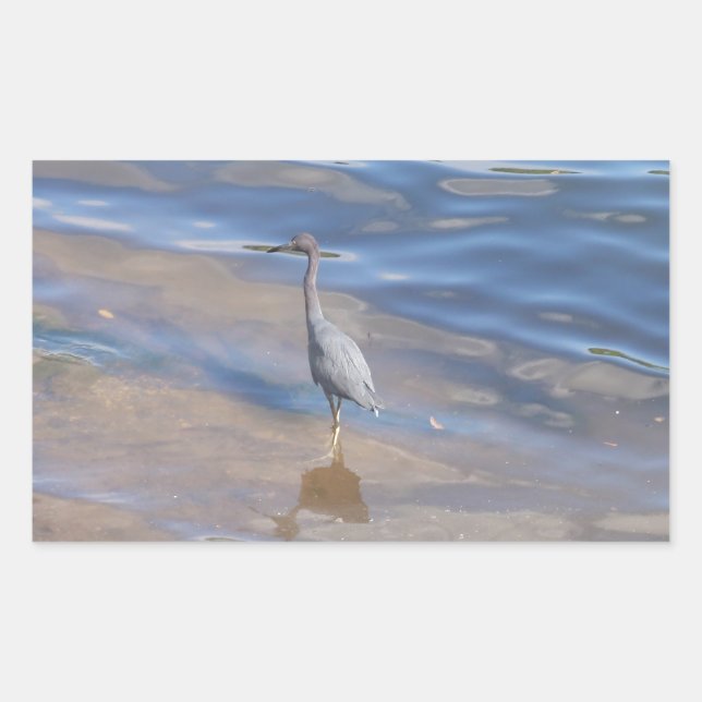 Little Blue Heron Rectangular Sticker (Front)