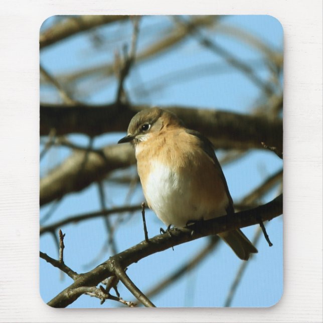 Little Blue Mouse Pad (Front)