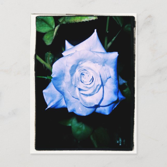 Little Blue Princess Postcard (Front)