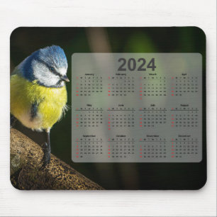 Little Blue Tit Bird 2024 Calendar Mouse Pad