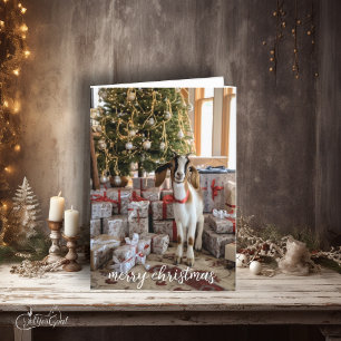 Little Boer Goat Ready for Christmas Card