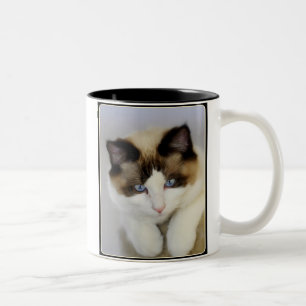 Little Boy Blue Two-Tone Coffee Mug
