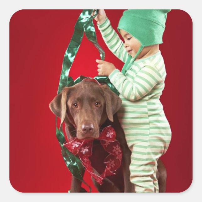 Little boy decorating a dog square sticker (Front)