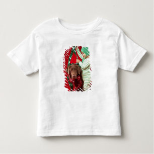 Little boy decorating a dog toddler T-Shirt