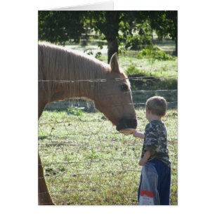 Little Boy Feeding Horse