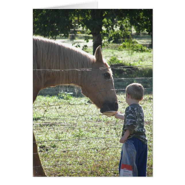 Little Boy Feeding Horse (Front)