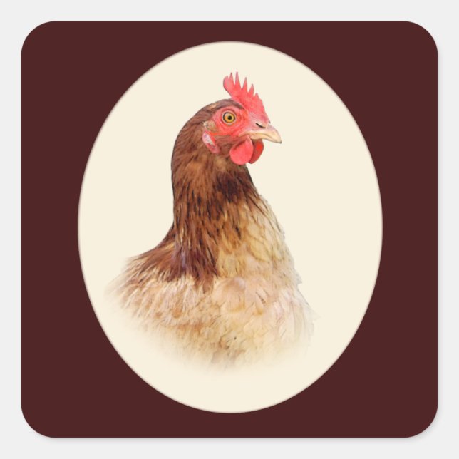 Little Brown Hen Stickers (Front)