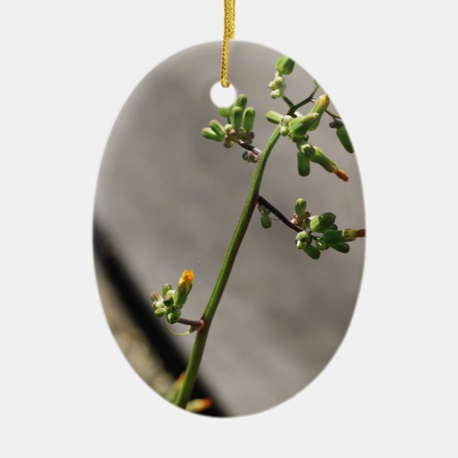 Little Bug, Little Flower Ceramic Tree Decoration (Front)