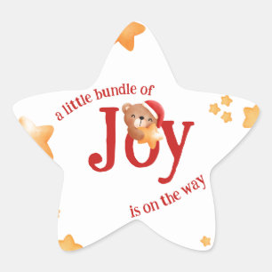 Little Bundle of Joy Bear Star Sticker