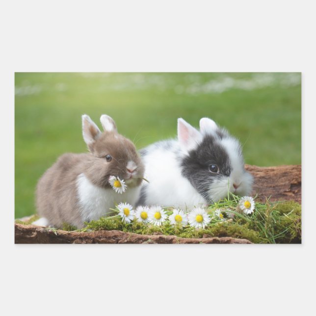 Little Bunnies With Daisies Rectangular Sticker (Front)