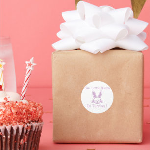 Little Bunny 1st Birthday Classic Round Sticker