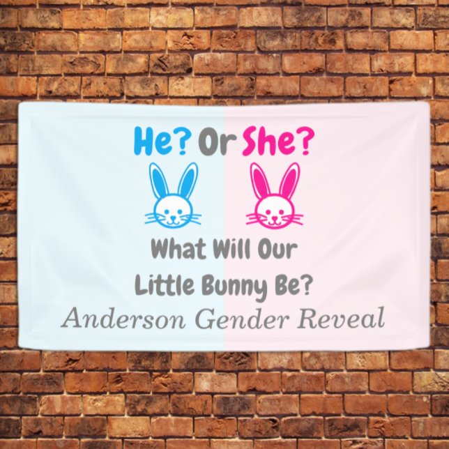 Little Bunny Gender Reveal Banner (Creator Uploaded)