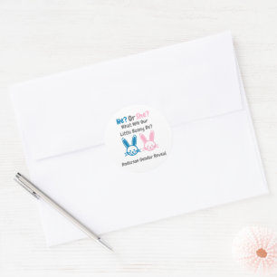 Little Bunny Gender Reveal Classic Round Sticker