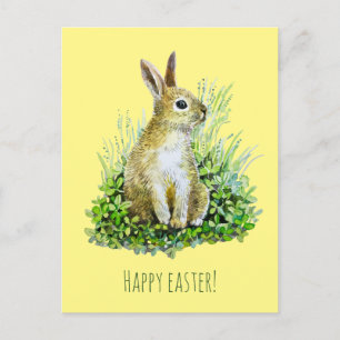 Little bunny watercolor postcard