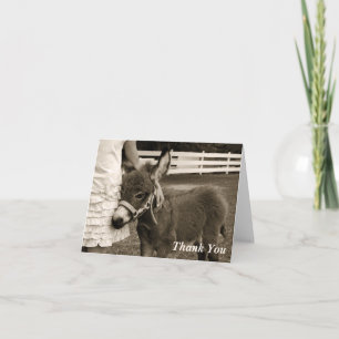 Little Burro Thank You Card