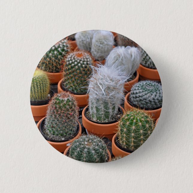 Little cactus plants 6 cm round badge (Front)