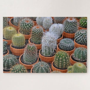 Little cactus plants jigsaw puzzle