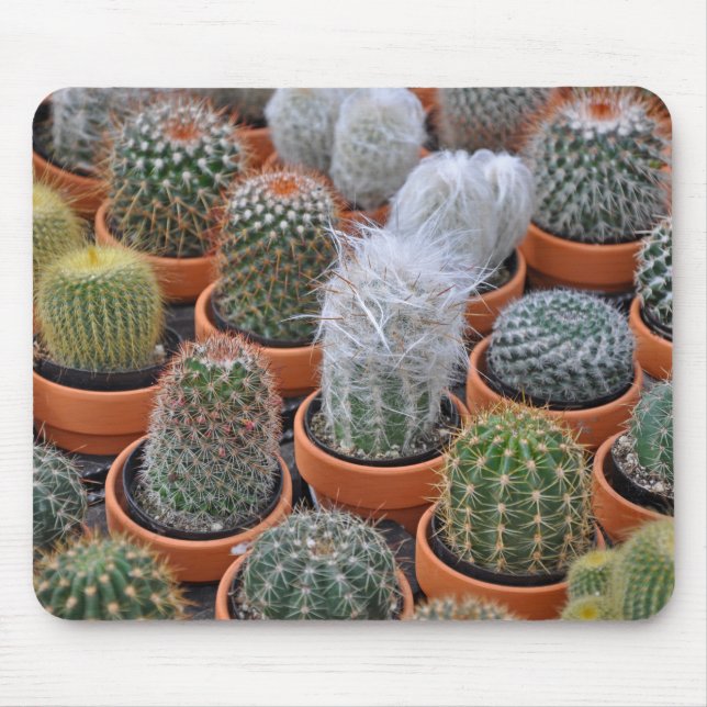 Little cactus plants mouse pad (Front)