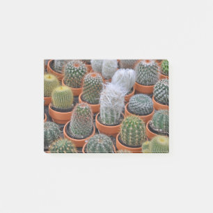 Little cactus plants post-it notes