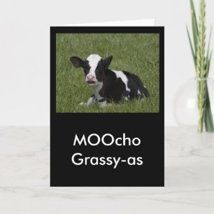 Little Calf Thank You Card