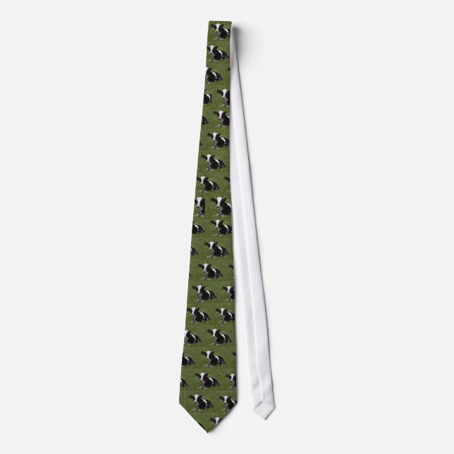 Little Calf Tie (Front)
