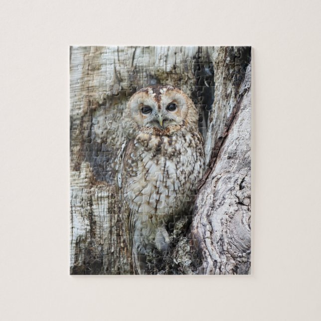 Little Camouflage Owl in Tree Jigsaw Puzzle (Vertical)