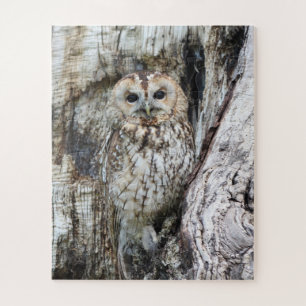 Little Camouflage Owl in Tree Jigsaw Puzzle