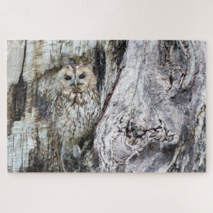 Little Camouflage Owl in Tree Jigsaw Puzzle