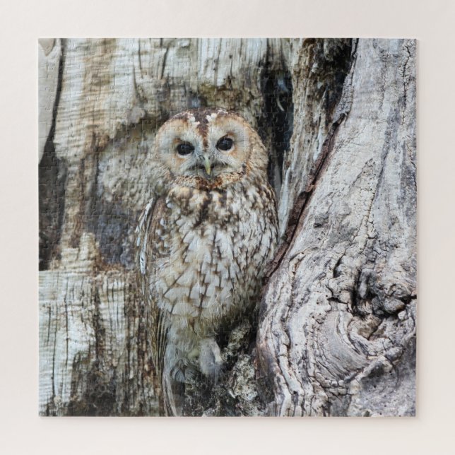 Little Camouflage Owl in Tree Jigsaw Puzzle (Vertical)