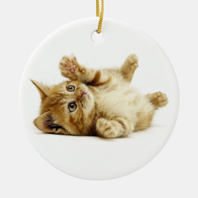 LITTLE CAT CERAMIC ORNAMENT (Front)