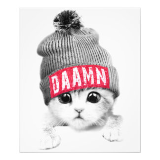 Little Cat Photo Print