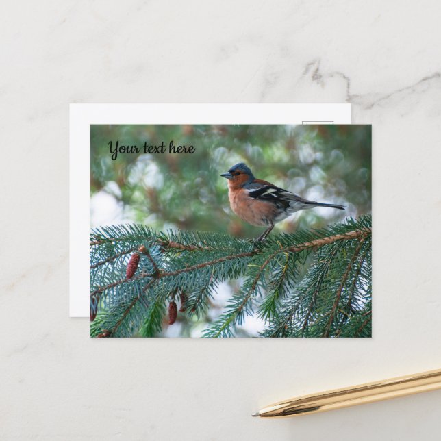 Little Chaffinch Postcard (Front/Back In Situ)