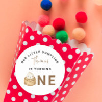 Little Chinese dumpling first Birthday Party