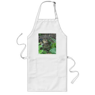 Little Chipmunk Eating Seeds In The Garden Photo Long Apron