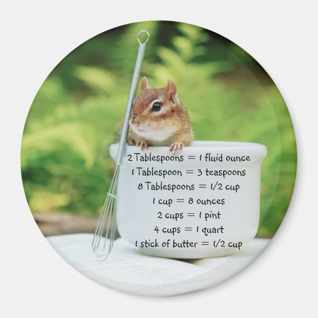 Little Chipmunk Measurement Equivalents Magnet (Front)