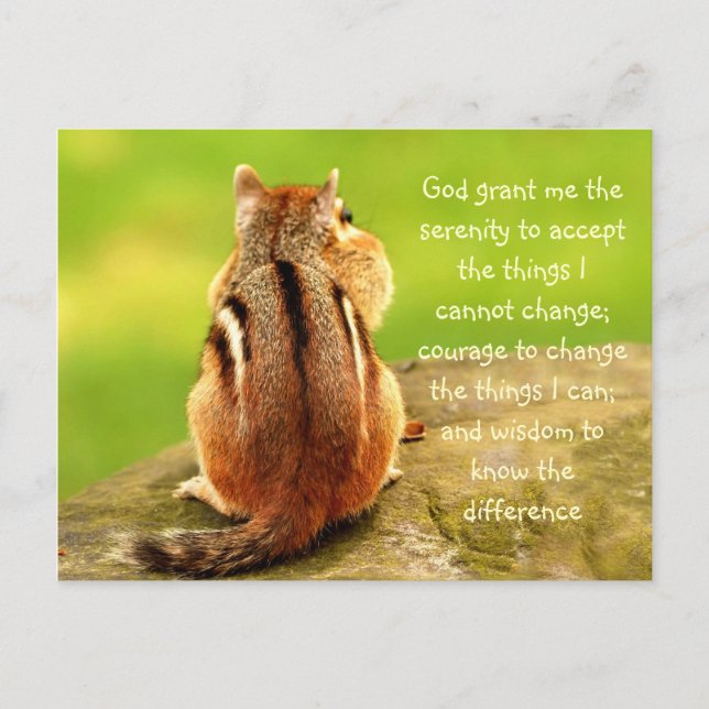 Little Chipmunk Serenity Prayer Postcard (Front)