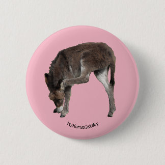 Little Chocolate Donkey Foal Scratching Ear 6 Cm Round Badge