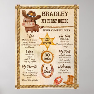Little cowboy cute baby horse in a hat milestone poster