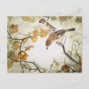 Little Creature-Bull-headed Shrikes Postcard