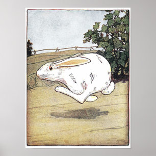 Little Critters Children's Book Illustration Poste Poster